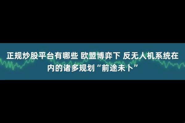 正规炒股平台有哪些 欧盟博弈下 反无人机系统在内的诸多规划“前途未卜”